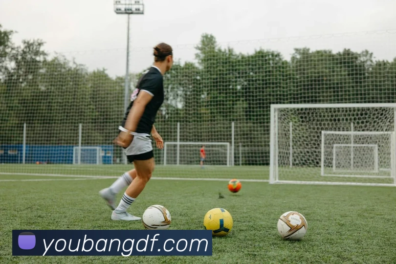 巅峰国际服务体系